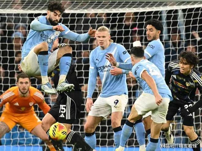 他们有望以 他们有望以